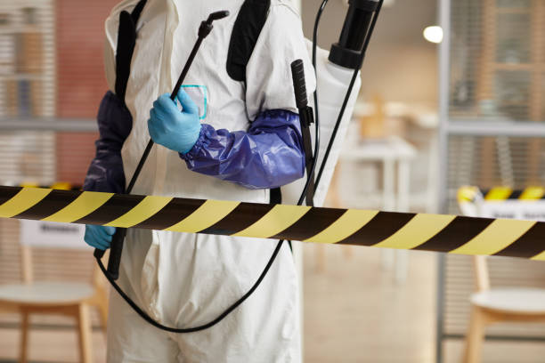 Professional Sewage Cleanup technician working in Chesterfield, NH